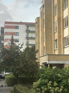 a large brick building with a tree in front of it at Trumpalaike buto nuoma in Panevėžys