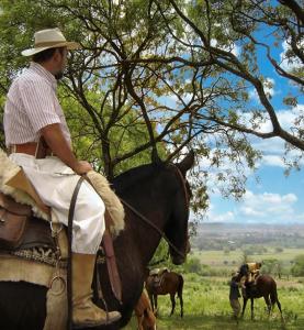un hombre montando un caballo en un campo con caballos en Nice Full Apartment Downtown Salta, en Salta