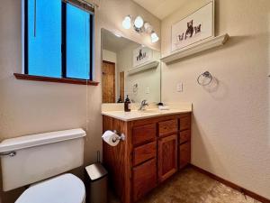 a bathroom with a toilet and a sink and a mirror at Forest View Family Home in Pollock Pines +34 photos