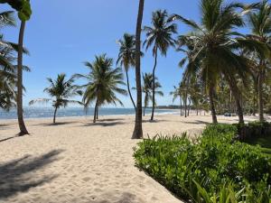 a sandy beach with palm trees and the ocean at Spacious 1 bedroom appartment in sunny paradise in Punta Cana