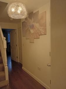 Billede fra billedgalleriet på Visha's Sleepin i Robin Hood