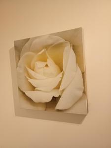 Billede fra billedgalleriet på Visha's Sleepin i Robin Hood