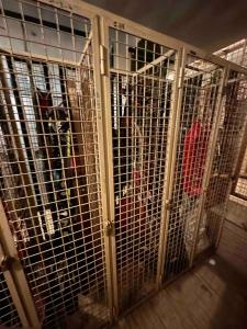 a dog is sitting in a cage at Studio on the ski slopes in Passo del Tonale