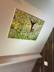 a picture of a deer in a field of flowers at Chalet Tournesol Durbuy in Durbuy