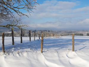 une clôture dans un champ couvert de neige dans l'établissement Chalet Tournesol Durbuy, à Durbuy