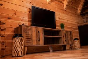 a living room with a television on a wooden wall at Montenegrina Wood House in Bijelo Polje