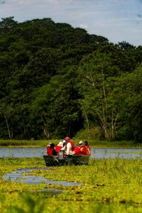 Fotografie z fotogalerie ubytování Heliconia Amazon River Lodge v destinaci Francisco de Orellana