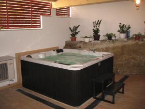 un jacuzzi en una habitación con plantas en Apartments Alen, en Pazin