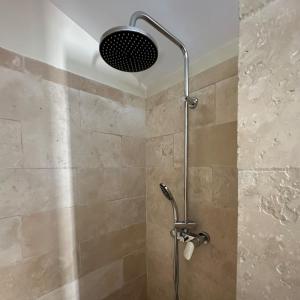 a shower with a shower head in a bathroom at Spacieux T3 en duplex rénové avec terrasse in Saint-Rémy-de-Provence +37 photos
