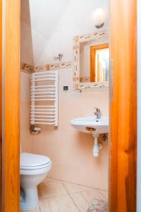 a bathroom with a toilet and a sink at Dom Wypoczynkowy Elżbieta in Poronin +45 photos