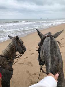 a person pointing at a horse on the beach at Waikiki Beach Boutique Hostel in Dibulla