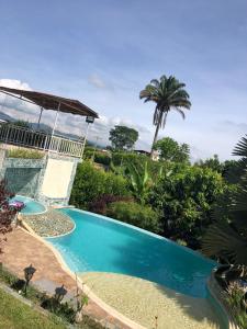 a swimming pool in a yard with a palm tree at Hotel Campestre Villa Alicia in Estación El Salto