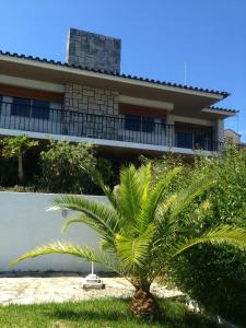 a palm tree in front of a building at Casa Dos Oliva in Alcobaça