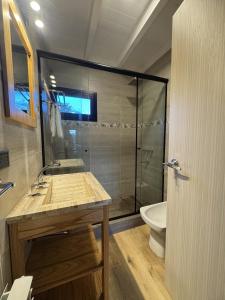 a bathroom with a shower and a sink and a toilet at 4Puntas Lodge in Lago Meliquina +36 photos