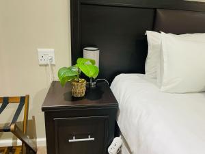 a bed with a night stand with a plant on it at Quiet Corner Guest House Kokstad in Kokstad