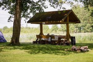 een picknicktafel onder een prieel in een park bij Atpūtas komplekss Usmas Meķi in Renda