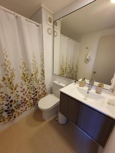 Koupelna v ubytování Dpto full equipado,dormitorio en suite en Valdivia + 10 fotografií