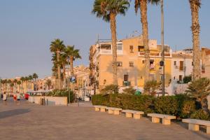 a street with palm trees and benches in front of buildings at Antic Rooms Filador in Villajoyosa