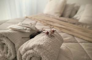 Ένα ή περισσότερα κρεβάτια σε δωμάτιο στο Céntrico con vistas, zona de bares históricos para 3 o 4 con estacionamiento