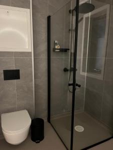 a bathroom with a shower and a toilet at Nordtoppen in Alta