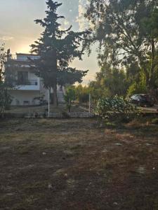 a large yard with a house and a tree at Country Home in Áyios Spirídhon +4 photos