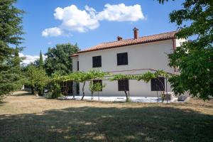 a white house with a bunch of vines at Apartments with parking space Sveti Lovrec, Central Istria - Sredisnja Istra - 24888 in Medaki