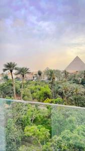 a view of the pyramids and palm trees from a window at Amon Pyramids View Inn in Cairo