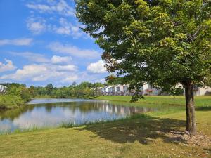 un arbre à côté d'un lac dans un parc dans l'établissement Sleeps 10 Pet-friendly 4br Near Hospital, à Lawrenceville
