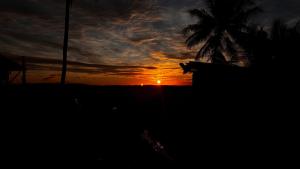 a sunset with a palm tree and the sun at Cocos Stay Executive Studio Flat in Labasa