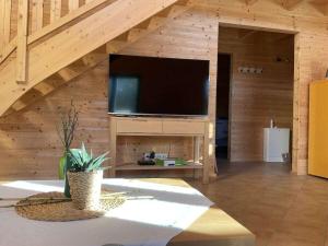 a living room with a flat screen tv on a wooden wall at Holiday home in Rieden with swimming pool in Rieden