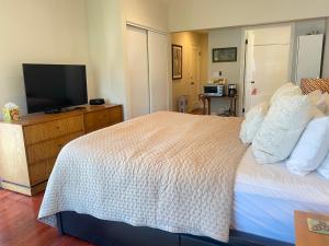 Dormitorio con cama y tocador con TV en Spacious One Bedroom Near San Francisco, en Richmond 17 fotos más