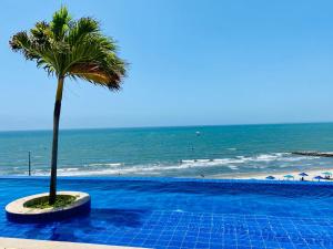 a palm tree sitting next to a swimming pool next to the beach at Ikigai frente al mar con piscina infinita y Gym in Cartagena de Indias