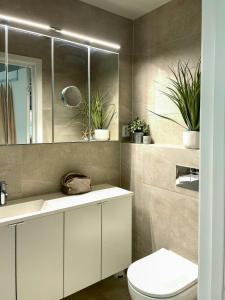 a bathroom with a toilet and a sink and a mirror at Family Cabin With Sea View On Talgje in Talgje