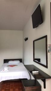 a bedroom with a bed with a mirror and a tv at Club Campestre El Rubí in Carmen de Apicalá
