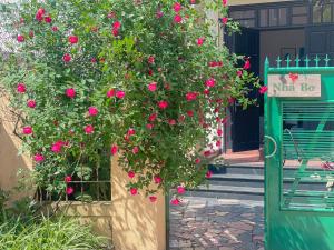 a plant with pink roses growing on a building at Nhà Bơ Homestay in Thôn Kim Long (1)