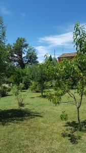 A garden outside B&B La Rosa Antica