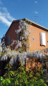 A garden outside B&B La Rosa Antica