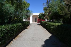Zahrada ubytování Villa Cino