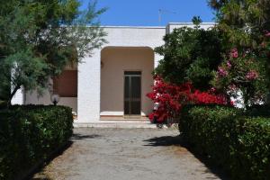 Zahrada ubytování Villa Cino