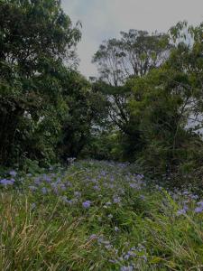Imagen de la galería de Cabaña 23 - private cabin, en Montaña Azul