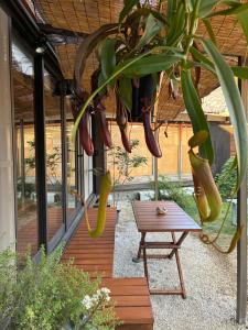 a patio with a table and a plant at 犬と泊まれる平屋Dog friendly house 黄昏 in Misaki