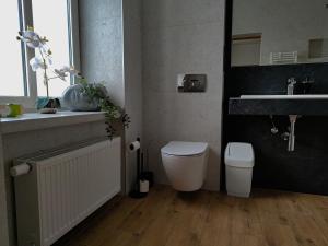 a bathroom with a toilet and a sink at Hotel Polonia Racibórz in Racibórz