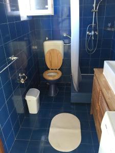 a blue tiled bathroom with a toilet and a shower at Centre Apartment Bozava in Božava