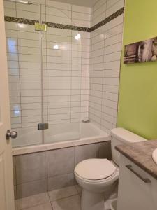 Ένα μπάνιο στο Cozy Digital Nomad Apartment in Montreal Riv-Sud +35 φωτογραφίες