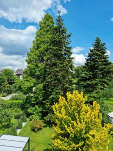 a bench in a garden with two large trees at Gesamte Unterkunft in zentraler Lage in Hattingen in Hattingen +12 photos
