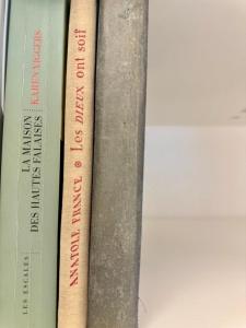 Biblioteket i lejligheden