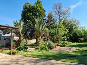 a yard with palm trees and a house at La Mouna 4 in Bultfontein in Bultfontein