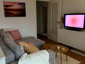 Una sala de estar con un sofá y un televisor de pantalla plana. en Ferienwohnung Weidenkörbchen am Wasser in Werder Havel, en Werder