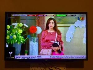 Hosté ubytování RAINFOREST Budget Stay + 42 fotografií