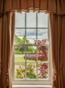 A view of the garden at Alne Park or nearby 